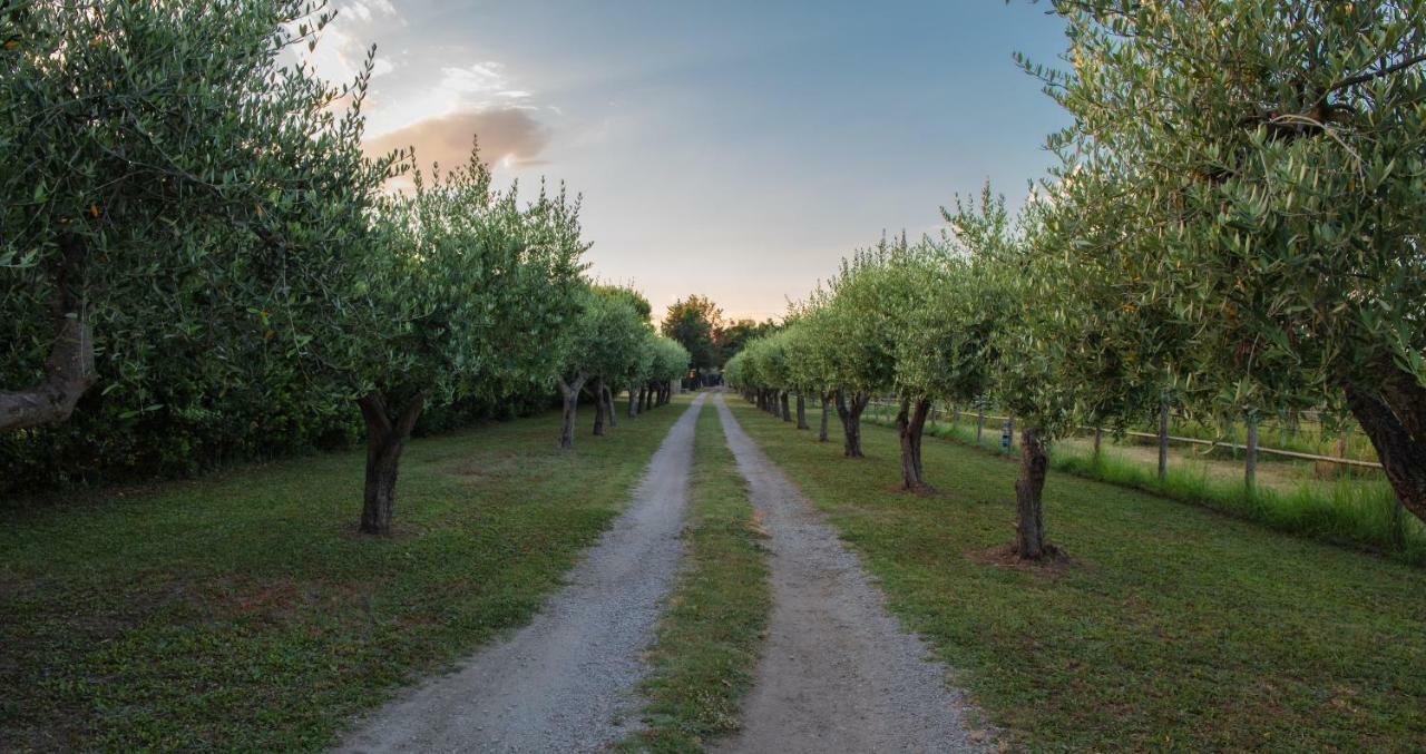 Fuori Le Mura Пестум Экстерьер фото